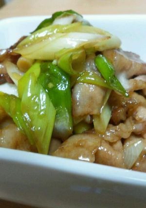 A picture of Stir-Fried Pork and Green Onions with Oyster Sauce.
