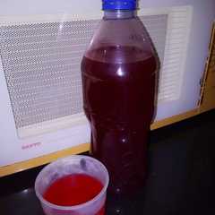 A picture of Syrup cocopandan ala dapur nina.