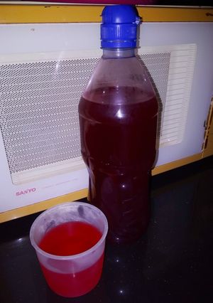 Foto resep Syrup cocopandan ala dapur nina