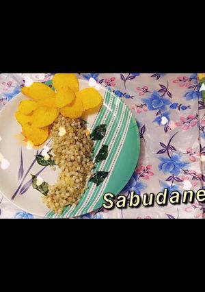 A picture of Sabudana Tree.