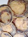 Roti maryam coklat
