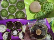 Gambar martabak mini tanpa mixer