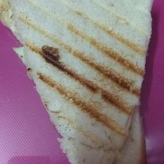 A picture of Bread grilled sandwich.