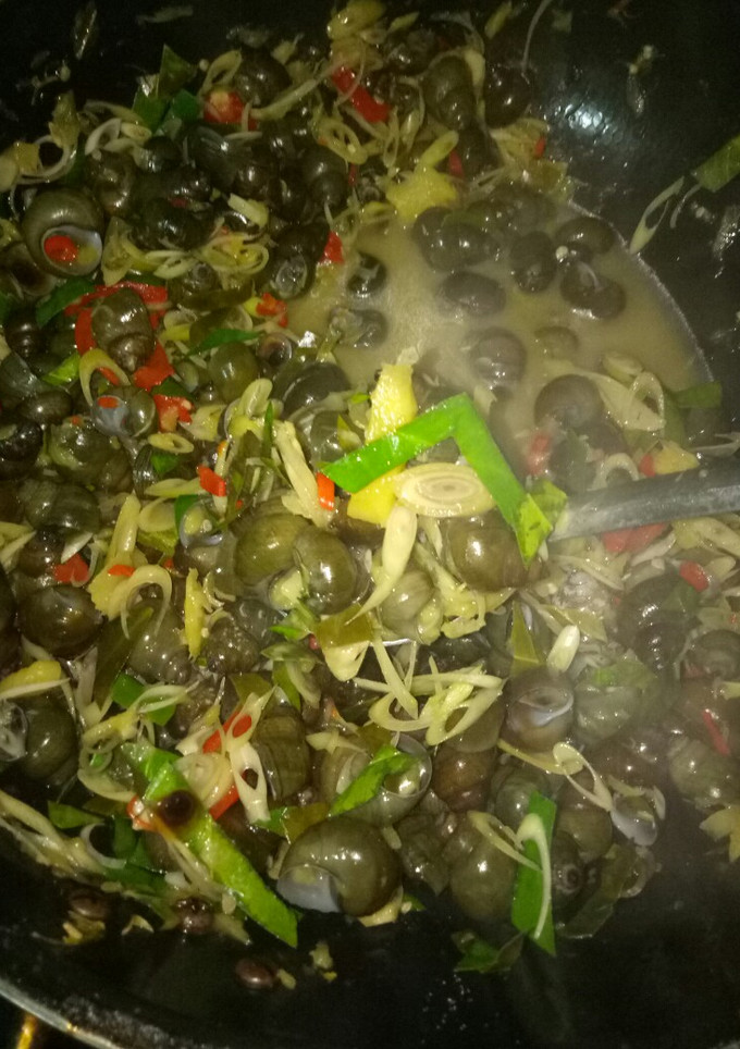Hình của món Ốc gạo hoặc (ốc len).
