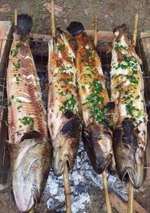 Hình của món Cá lóc nướng than.