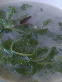 Foto resep Bobor Bayam