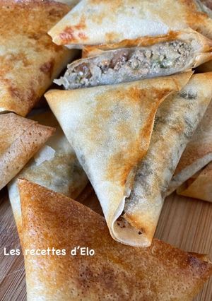 Une photo de Samoussas au bœuf au Thermomix
