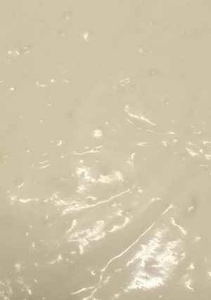 A picture of Besciamella - bechamel sauce.