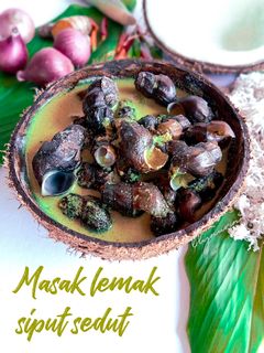 Gambar Masak lemak siput sedut #MAHN