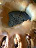Rosca sueca dulce para el té