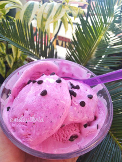 Foto resep Es Krim Buah Naga