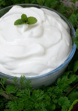 عکسی از دستور سس مایونز خانگی😋🍚