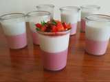 coconut panna cotta