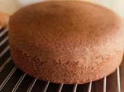 A picture of cocoa sponge cake