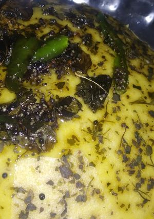 A picture of Instant Dhokla.