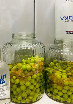 梅酒 的食譜成品照片