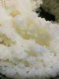 Oishii Gohan (para onigiri) con Olla