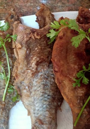 صورة لوصفة 🐠 سمك شبار مقلى 🐠🥗 ورز صياديه 😋