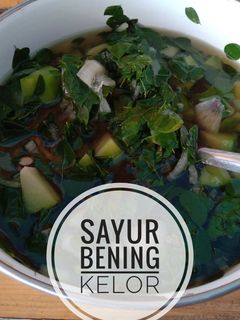 Foto resep 119. Sayur Bening Kelor