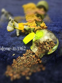 عکسی از دستور به دانه