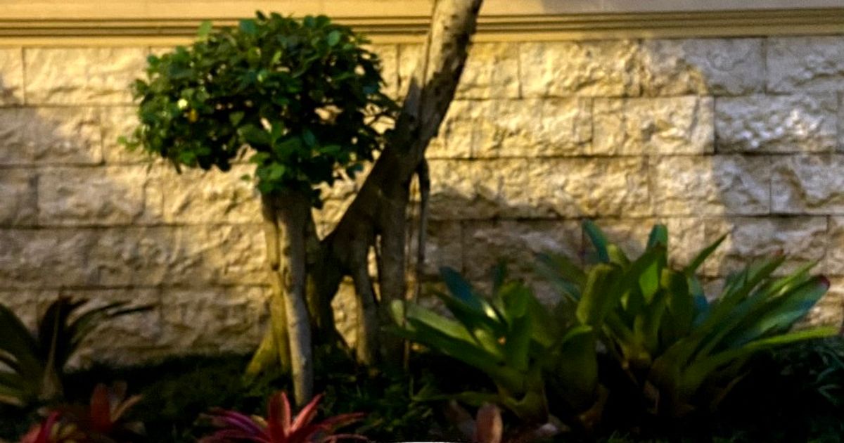 Kimbab simple buat si kecil