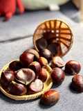 Chestnut Rebus