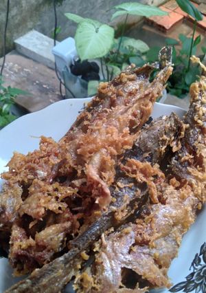 Foto resep Lele goreng crispi
