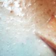 Crema de setas