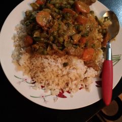 A picture of Rice with beef coconut sauce.