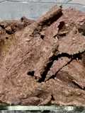 Doner Kebab