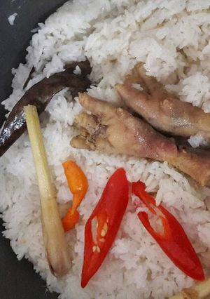 Foto resep Nasi liwet praktis rice cooker