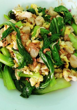 Foto resep Cah Pakcoy Ayam