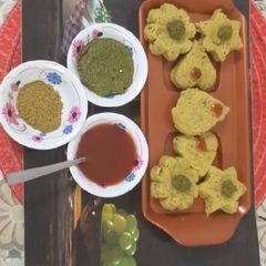 A picture of Oats idli.
