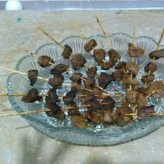 A picture of Stick Boti.