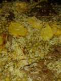 Bifes con arroz, papas y cebolla