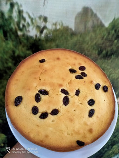 Foto resep Bolu tape singkong