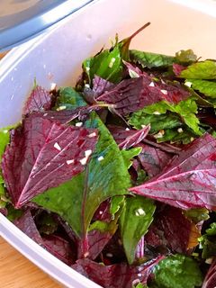 Hình của món 🌱 Lá Tía Tô Ngâm Chua Ngọt (Vegan).