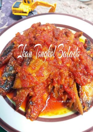 Foto resep Ikan Tongkol Balado