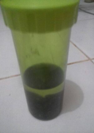 Foto resep Air nabeez kurma