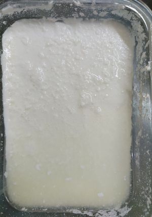 বাড়িতে পাতা টক দই (Barite pata tok doi recipe in Bengali) রেসিপির প্রধান ছবি