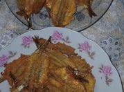 A picture of pilchards in oil