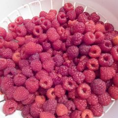 A picture of Raspberry Cake/Berry Cake.