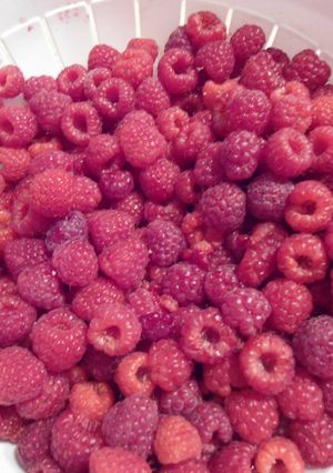 A picture of Raspberry Cake/Berry Cake.