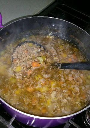 A picture of Hamburger Soup.
