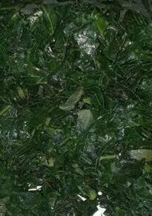 A picture of Economy Sukuma Wiki.
