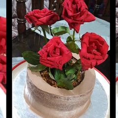 A picture of Flower pot cake.