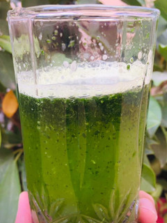 A picture of Papaya Juice.