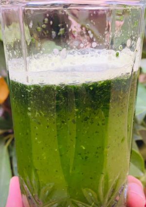 A picture of Papaya Juice.