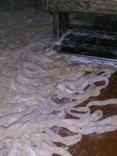 Una foto de Fideos caseros súper fácil!!