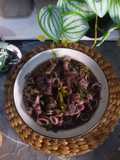 Cumi Tumis Cabai Hijau
